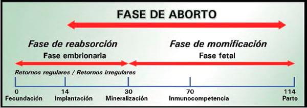 Aspectos clínicos y epidemiológicos en el diagnóstico de fallas reproductivas - Image 1