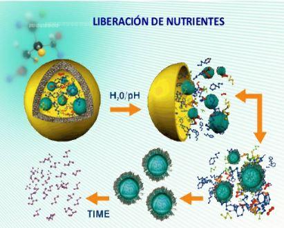 La nanonutricion es la nutrición animal del futuro - Image 5