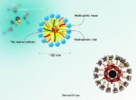 La nanonutricion es la nutrición animal del futuro - Image 6