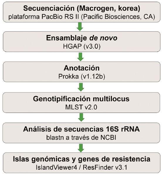 Caracterización genómica de una cepa de Salmonella enterica subsp. enterica serotipo Infantis, aislado en pollos procedentes de una granja del sur chico de Perú - Image 3