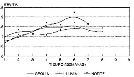 Evapotranspiracion (ETPc) en el pasto pangola (Digitaria decumbens STENT.) - Image 5