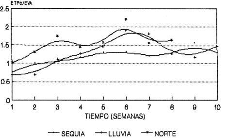 Evapotranspiracion (ETPc) en el pasto pangola (Digitaria decumbens STENT.) - Image 6