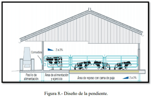 Tecnificación de fincas ganaderas con prácticas sostenibles “diseño de instalaciones para un sistema de manejo semiestabulado en fincas ganaderas de pequeños productores” - Image 8