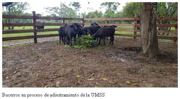 Revalorización y socializacion de las bondades ecológicas de búfalo de agua y como alternativa de ganaderia sustentable y resiliente frente al cambio climático - Image 14