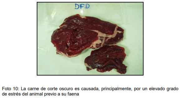 Cómo ofrecer al mercado animales con buena calidad de res y carne - Image 12
