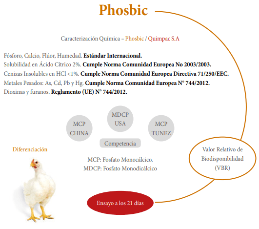 Ensayo de biodisponibilidad del fósforo en pollos de carne a los 21 días con diferentes fuentes comerciales de fosfatos inorgánicos - Image 1