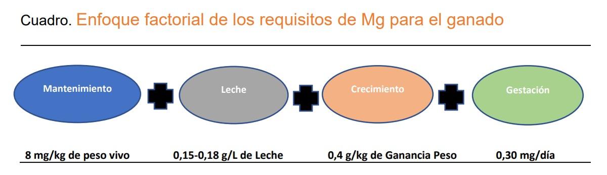 Magnesio y fósoforo: minerales clave en la nutrición del ganado - Image 2