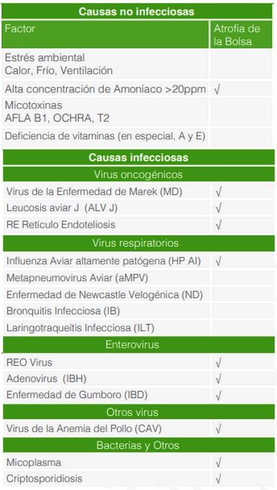 Inmunosupresión (IS) e Inmunodeficiencia (ID) - Image 1