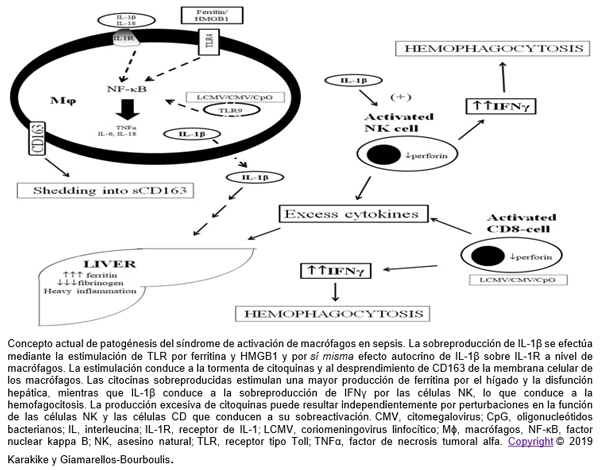 COVID-19: desencadena un “síndrome de tormenta de citoquinas” que es letal - Image 1