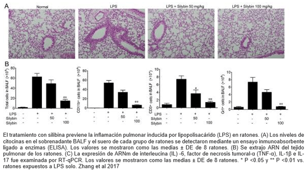 COVID-19: desencadena un “síndrome de tormenta de citoquinas” que es letal - Image 8