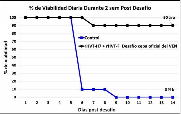 Compatibilidad entre una vacuna vectorizada contra la influenza aviar (IA) h7n3 de alta patogenicidad (rhvt-h7) con otra vacuna vectorizada contra enfermedad de Newcastle (rhvt-f) en ponedoras comerciales - Image 4