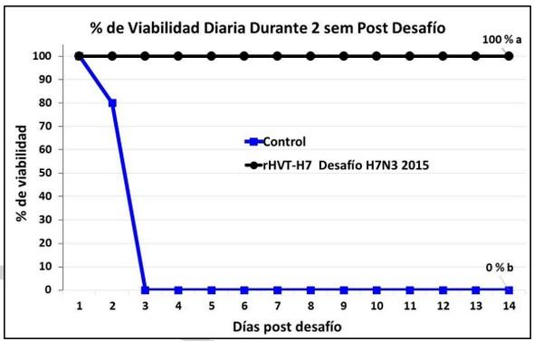 Compatibilidad entre una vacuna vectorizada contra la influenza aviar (IA) h7n3 de alta patogenicidad (rhvt-h7) con otra vacuna vectorizada contra enfermedad de Newcastle (rhvt-f) en ponedoras comerciales - Image 1