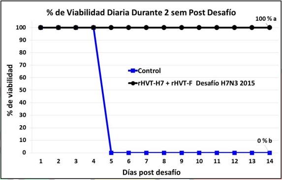 Compatibilidad entre una vacuna vectorizada contra la influenza aviar (IA) h7n3 de alta patogenicidad (rhvt-h7) con otra vacuna vectorizada contra enfermedad de Newcastle (rhvt-f) en ponedoras comerciales - Image 3