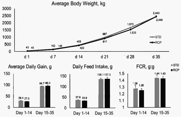 Efecto del nivel de proteína cruda de la dieta de inicio sobre el desarrollo inmunológico y desempeño de pollos de engorda - Image 1