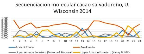 Caracterización molecular de materiales criollos de cacao en El Salvador - Image 10