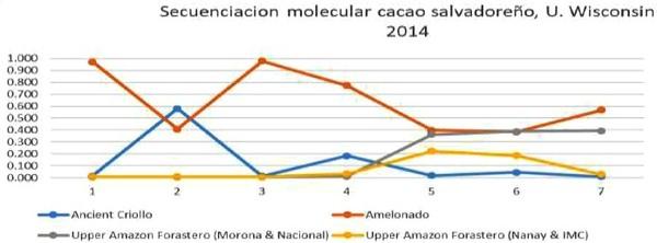 Caracterización molecular de materiales criollos de cacao en El Salvador - Image 9