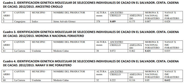 Caracterización molecular de materiales criollos de cacao en El Salvador - Image 14