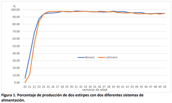 Respuesta productiva y económica de dos estirpes de ponedoras a dos sistemas de alimentación - Image 6