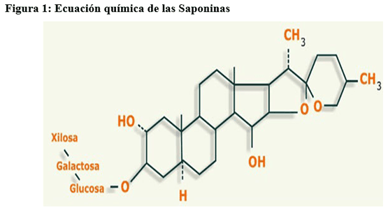 Saponinas: Una sustancia química muy poco valorada - Image 1