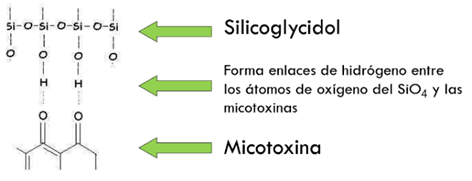 Captadores de micotoxinas - Image 3