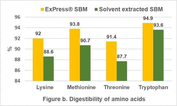 Los cerdos necesitan aminoácidos, no proteínas: elija la fuente correcta de aminoácidos digestibles - Image 3
