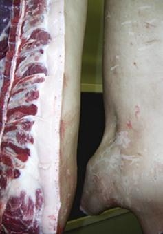 Calidad de la carne y la vitamina E en porcinos - Image 2