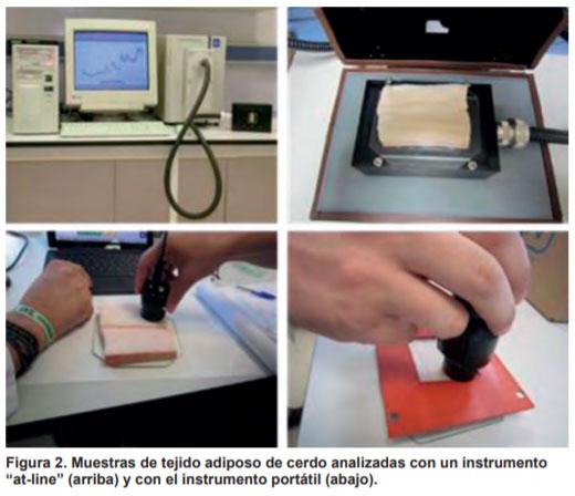 Espectroscopía de Infrarrojo Cercano para asegurar la integridad de jamón ibérico de bellota - Image 2