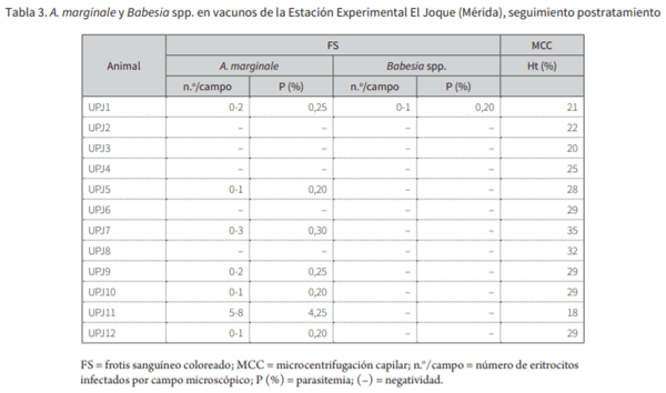 Confirmación microbiológica y evaluación hematológica para Anaplasma marginale y Babesia spp. en ganadería bovina de altura en los andes venezolanos* - Image 3