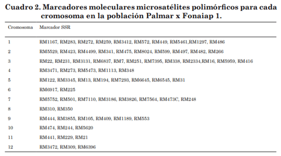 Identificación de marcadores SSR asociados a la resistencia de arroz a Rhizoctonia solani - Image 5