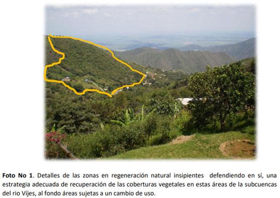 La gran problemática de la cuenca del Rio Vijes - Image 1