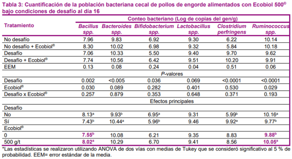 Efectos positivos del Bacillus amyloliquefaciens en pollos de engorde bajo desafío entérico de patógenos - Image 3