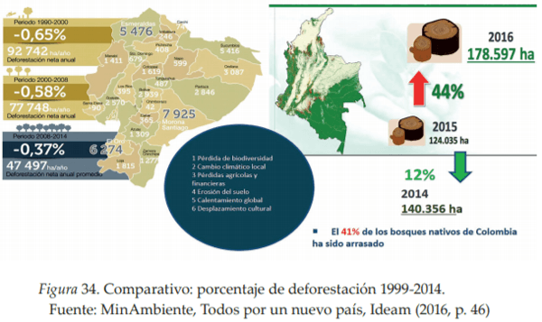 La Agroforestería como Escenario de Reconciliación, Sostenibilidad y Producción territorial - Image 9