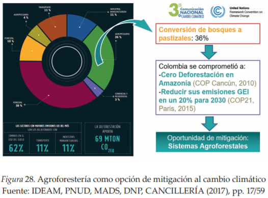 La Agroforestería como Escenario de Reconciliación, Sostenibilidad y Producción territorial - Image 3