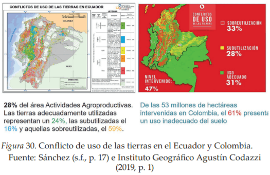 La Agroforestería como Escenario de Reconciliación, Sostenibilidad y Producción territorial - Image 5