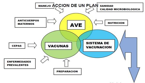 Los doce mandamientos de la vacunación en aspersion. Experiencias de campo - Image 1