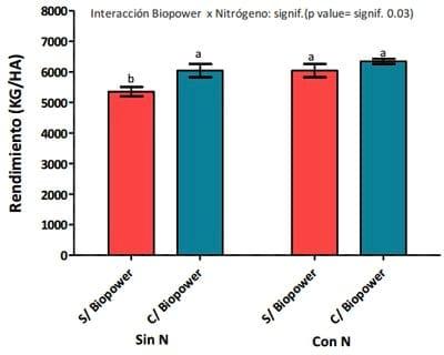 Evaluación de Inoculantes y Biofertilizantes en Sorgo - Image 3