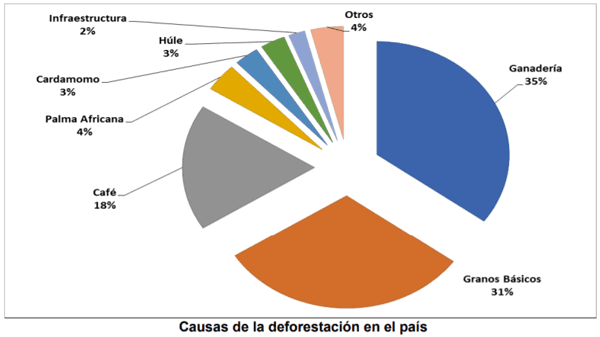 Factores responsables de la deforestación en guatemala - Image 1