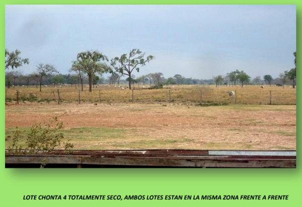 Informe sobre mejoramiento de suelos con la rotación de un cultivo de frejol en pastizales en la hacienda ganadera “La Cañuela” - Image 4