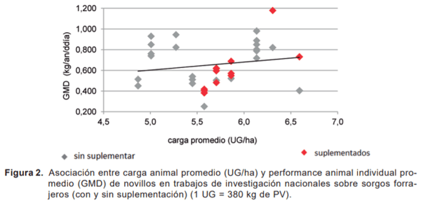Integración de resultados de ensayos nacionales de recría y engorde de novillos sobre sorgos forrajeros - Image 3