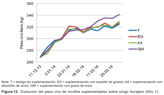 Evaluación de novillos sobre sorgo forrajero con distintas cargas y tipos de suplementación - Sistemas de engorde de novillos sobre verdeos anuales estivales en la región de basalto - Image 12