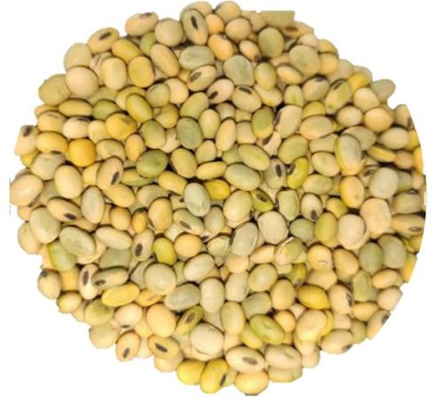 Semillas verdes de soja: toma de decisiones y destino de lotes - Image 2