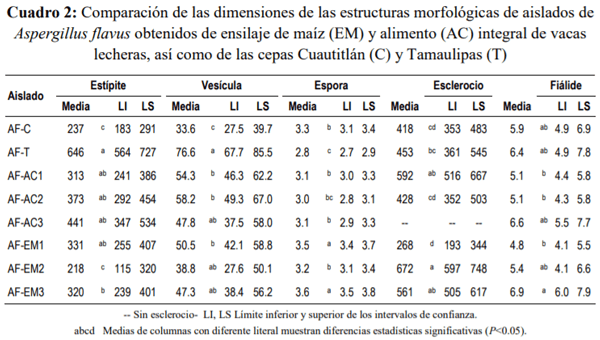 Caracterización de Aspergillus Flavus y cuantificación de aflatoxinas en pienso y leche cruda de vacas en Aguascalientes, México - Image 4
