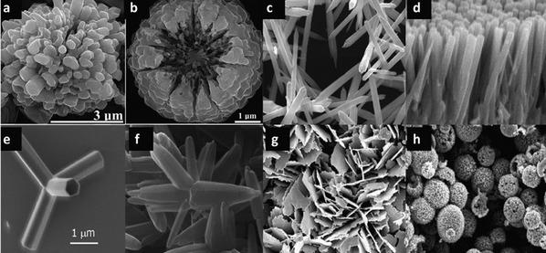Efectos antibacterianos del óxido de zinc en lechones destetados - Image 5