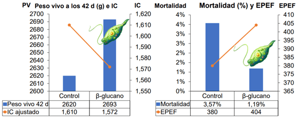 Efecto de la suplementación de ß-(1,3)-glucanos procedentes del alga Euglena gracilis sobre el rendimiento productivo y parámetros inmunológicos de pollos de engorde - Image 1