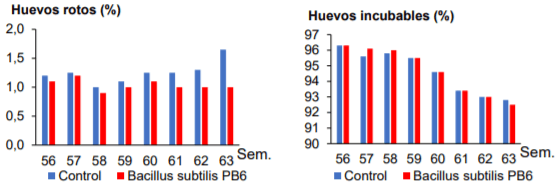 Efecto de la suplementación de Bacillus subtilis PB6 en los parámetros productivos de reproductoras pesadas - Image 5