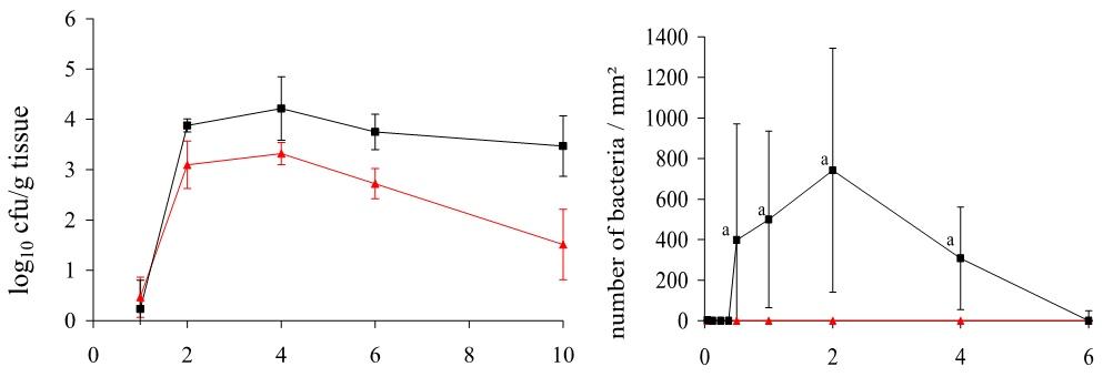 Respuesta dinámica de la disminución de Salmonella spp en el ciego de las aves, impacto del uso de mananoligosacaridos (MOS) ß-glucanos(1,3)(1,6). - Image 1