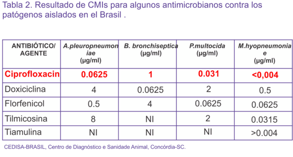Ciproflaxacina se destaca entre los principales antimicrobianos contra las bacterias - Image 4