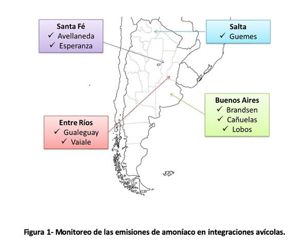 Los efectos del amoníaco en la producción avícola - Monitoreos regionales en Argentina - Parte 3 - Image 2