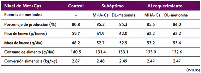 DL-metionina puede reemplazar los productos hidroxianálogo de metionina en una proporción de 65:100 en la alimentación de gallinas ponedoras - Image 4