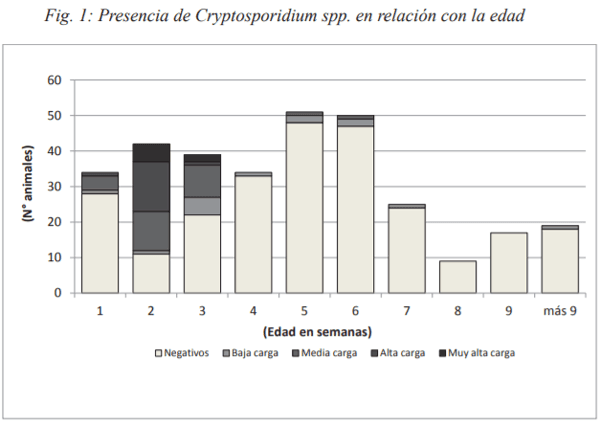 Presencia de Cryptosporidium spp. en terneros de establecimientos lecheros de la provincia de Santa fe (Argentina) - Image 2